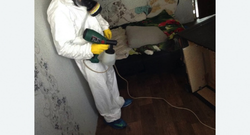 Обработка квартир от насекомых в Саяногорске