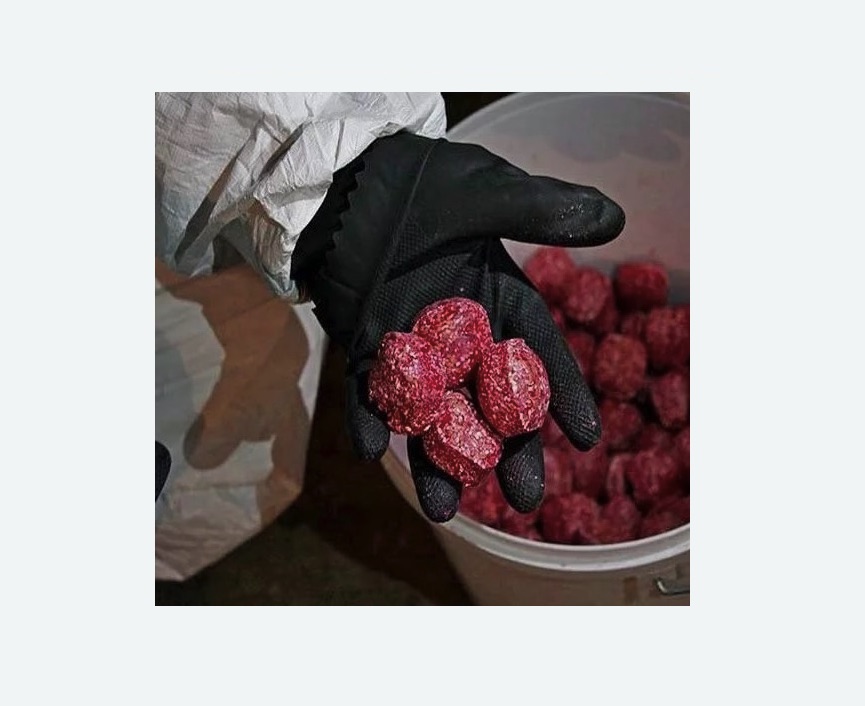 Обработка от крыс в Саяногорске