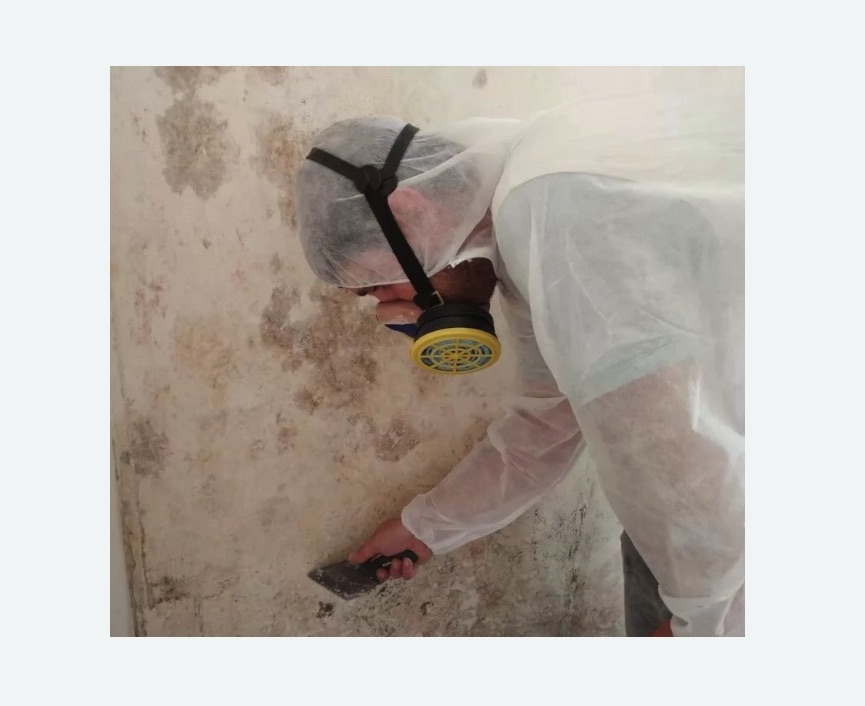 Обработка стен от плесени в Саяногорске