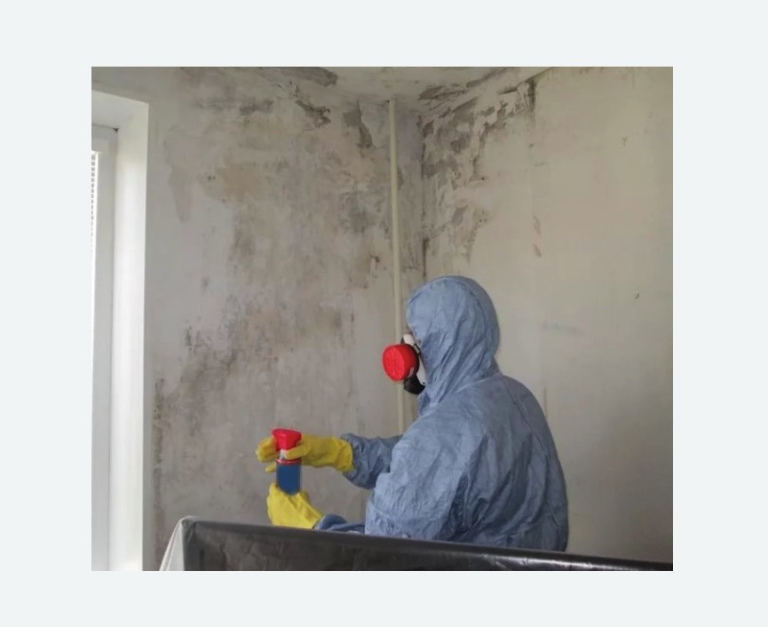 Удаление плесени в квартире в Саяногорске