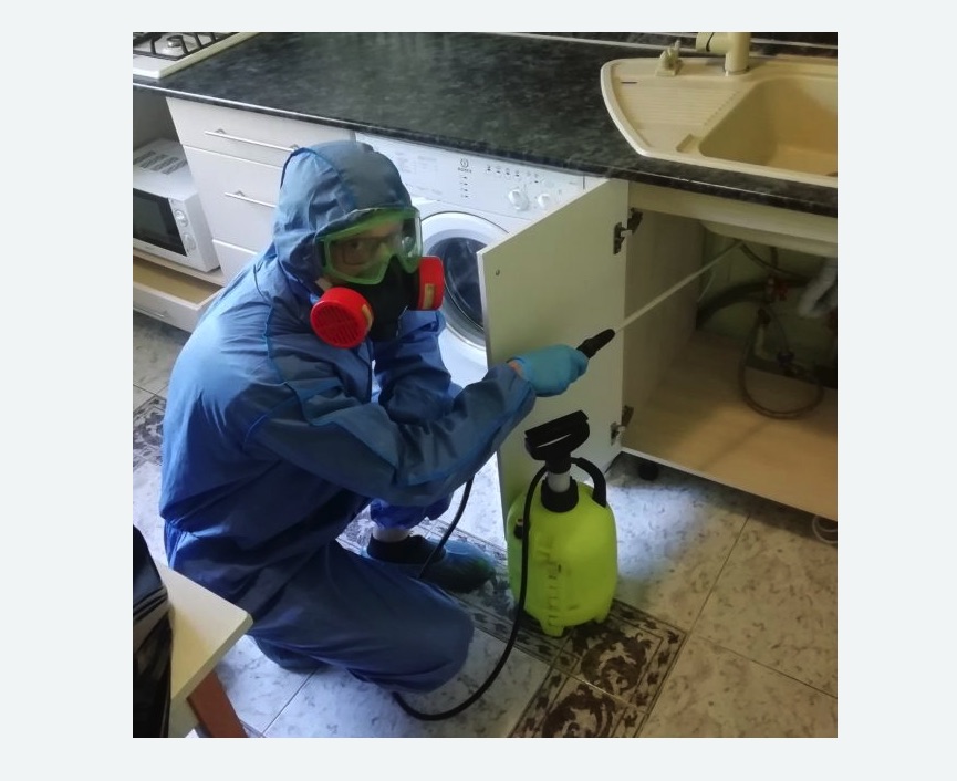 обработка от муравьев в квартире в Саяногорске