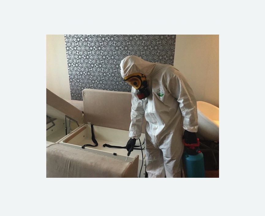 уничтожение клопов в квартире в Саяногорске