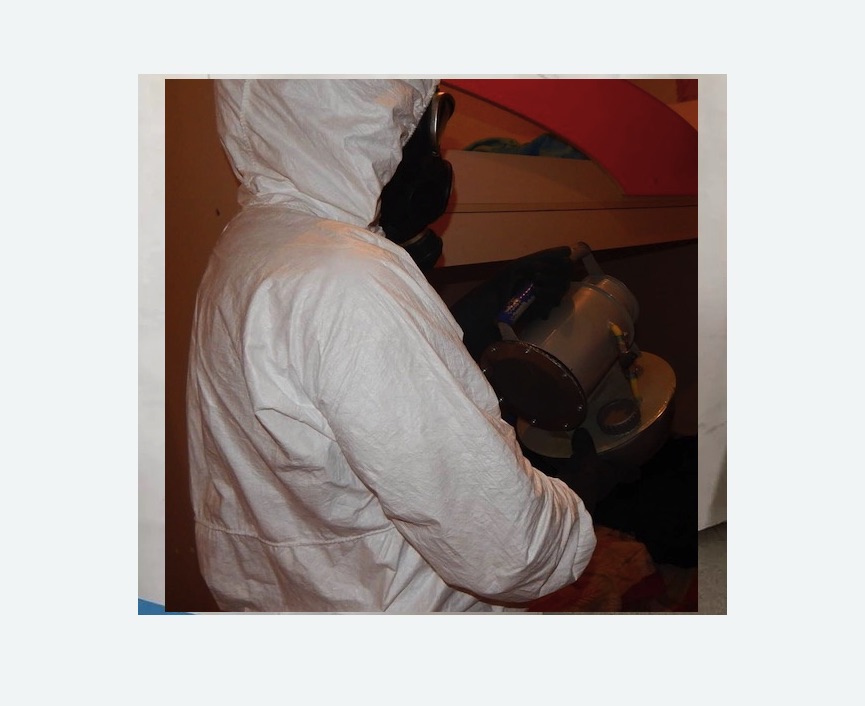 Дезинфекция от муравьев в Саяногорске